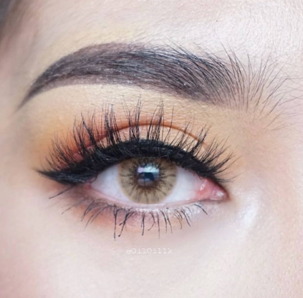 Pitchy Solotica Brown Monthly Colored Contacts