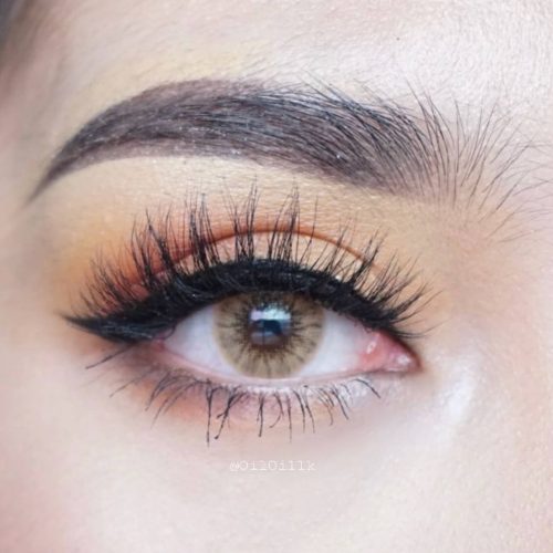 Pitchy Solotica Brown Monthly Colored Contacts