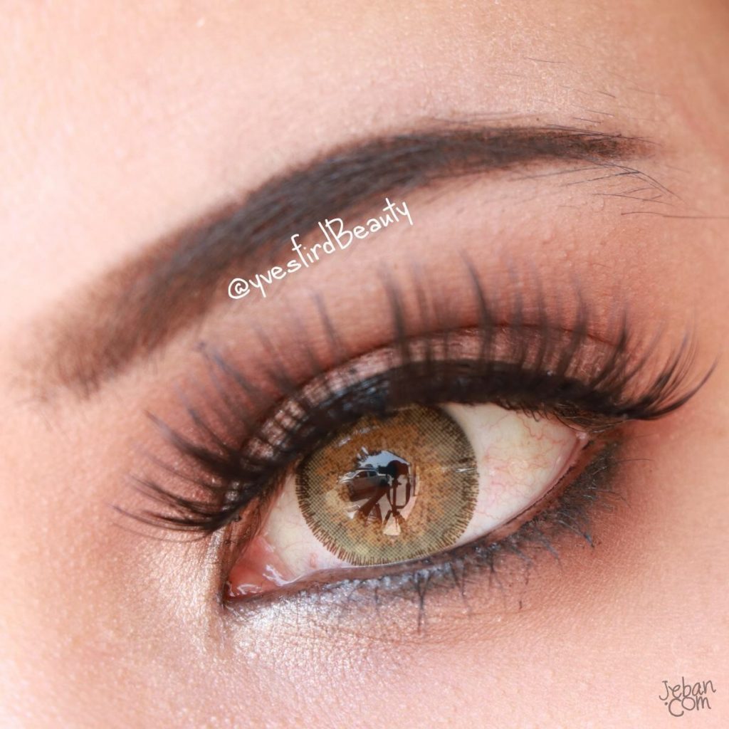 Solona 3T Brown Monthly Colored Contacts - Image 4