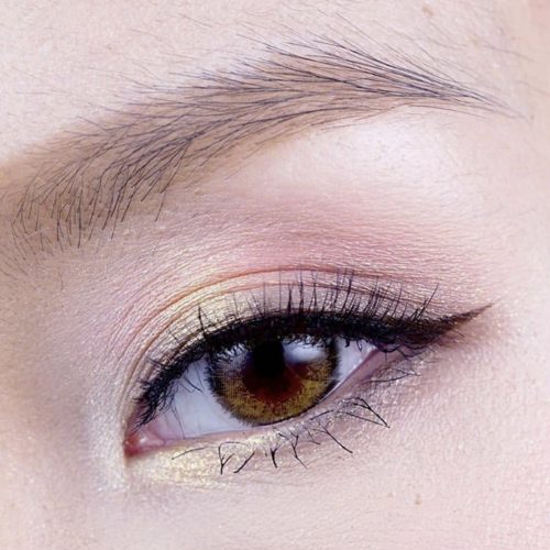 Dreamcolor Nobluk Brown Monthly Colored Contacts