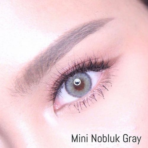 Dreamcolor Nobluk Gray Monthly Colored Contacts