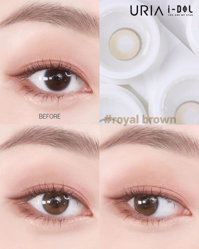 Uria Royal Brown Yearly Colored Contacts - Image 4