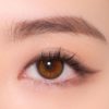 Uria Royal Brown Yearly Colored Contacts