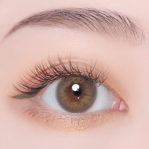 Sisse Summer Brown Monthly Colored Contacts