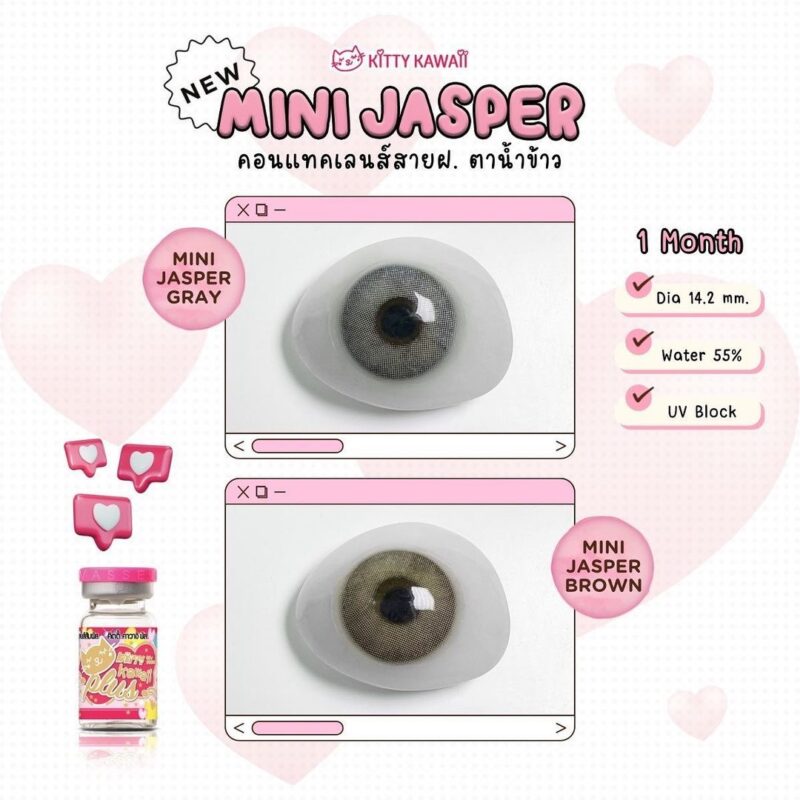 Kitty Kawaii Jasper Gray Monthly Colored Contacts - Image 3