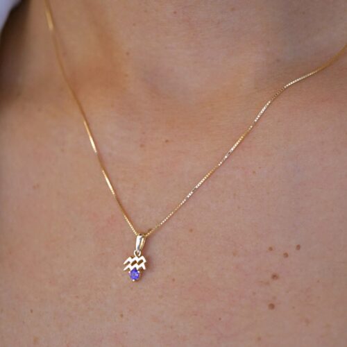 Aquarius with Amethyst Pendant, 10K Solid Gold, Dainty Gold Necklace
