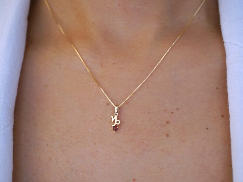 Capricorn with Garnet Pendant, 10K Solid Gold, Dainty Gold Necklace - Image 3
