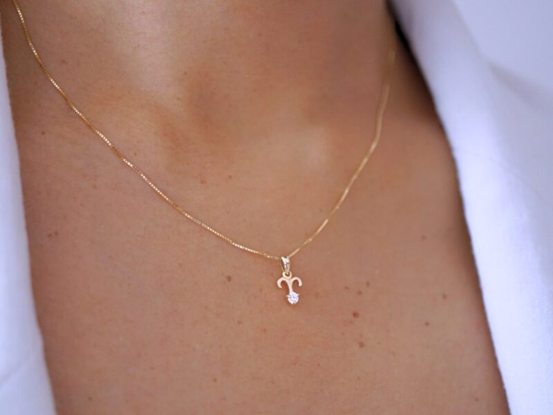 Aries with Diamond Pendant, 10K Solid Gold, Zodiac Sign Necklace