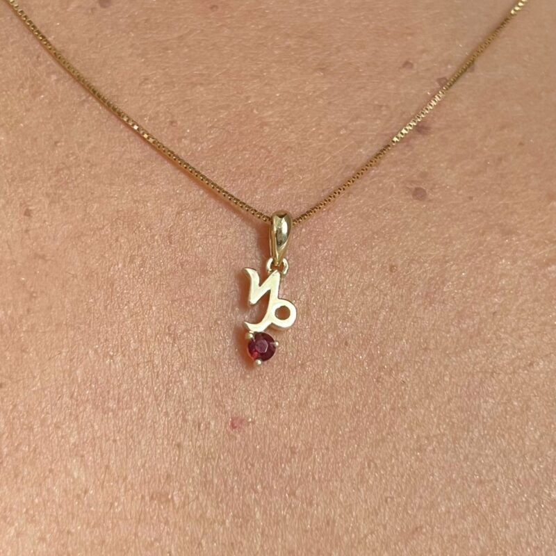 Capricorn with Garnet Pendant, 10K Solid Gold, Dainty Gold Necklace - Image 4