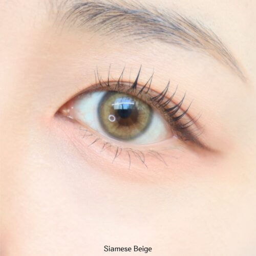 Uria Siamese Beige Brown Cat Eye 6-Month Colored Contacts