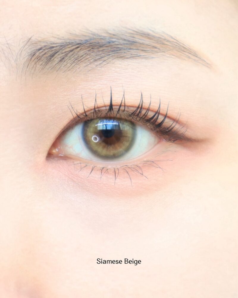 Uria Siamese Beige Brown Cat Eye 6-Month Colored Contacts - Image 4