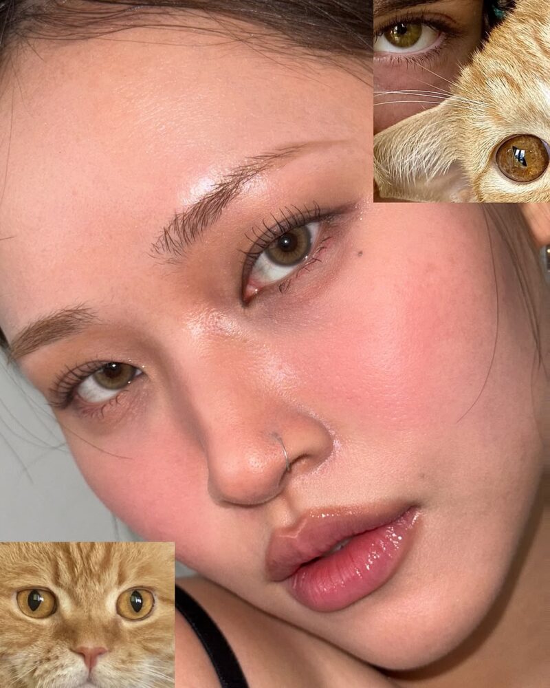 Uria Siamese Beige Brown Cat Eye 6-Month Colored Contacts - Image 2