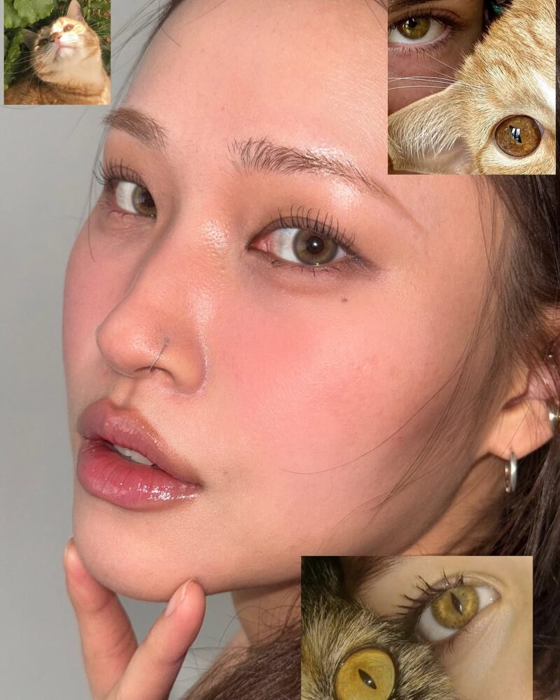 Uria Siamese Beige Brown Cat Eye 6-Month Colored Contacts - Image 10