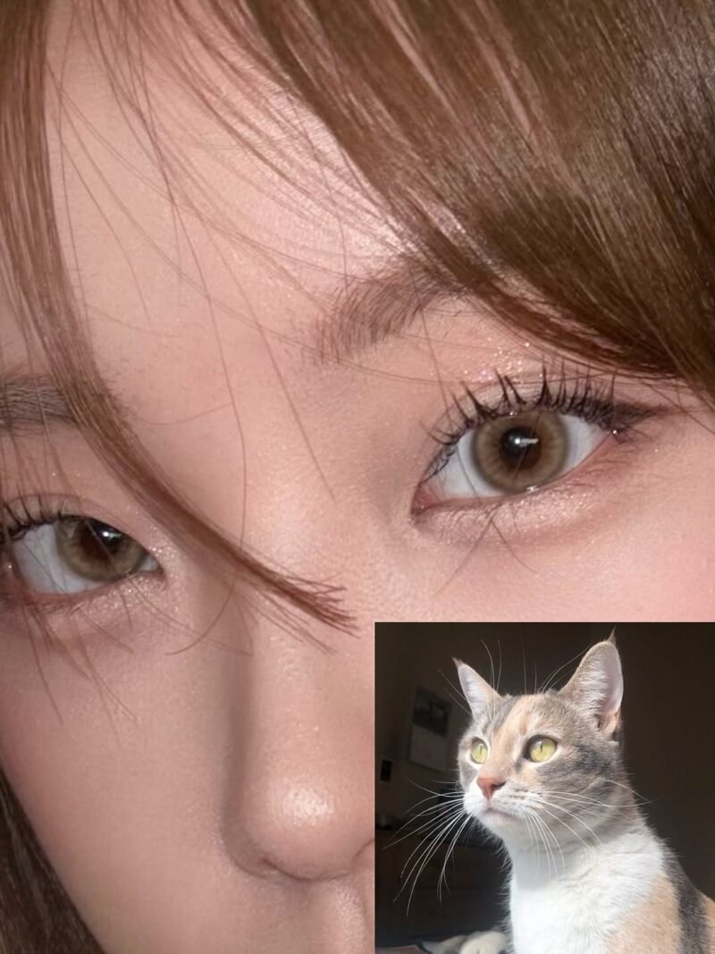 Uria Siamese Beige Brown Cat Eye 6-Month Colored Contacts - Image 3