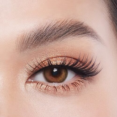 Kitty Kawaii Valentina Brown Monthly Colored Contacts