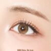 Sisse Didi Daisy Brown Monthly Colored Contacts