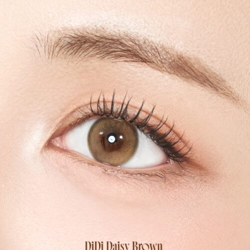 Sisse Didi Daisy Brown Monthly Colored Contacts