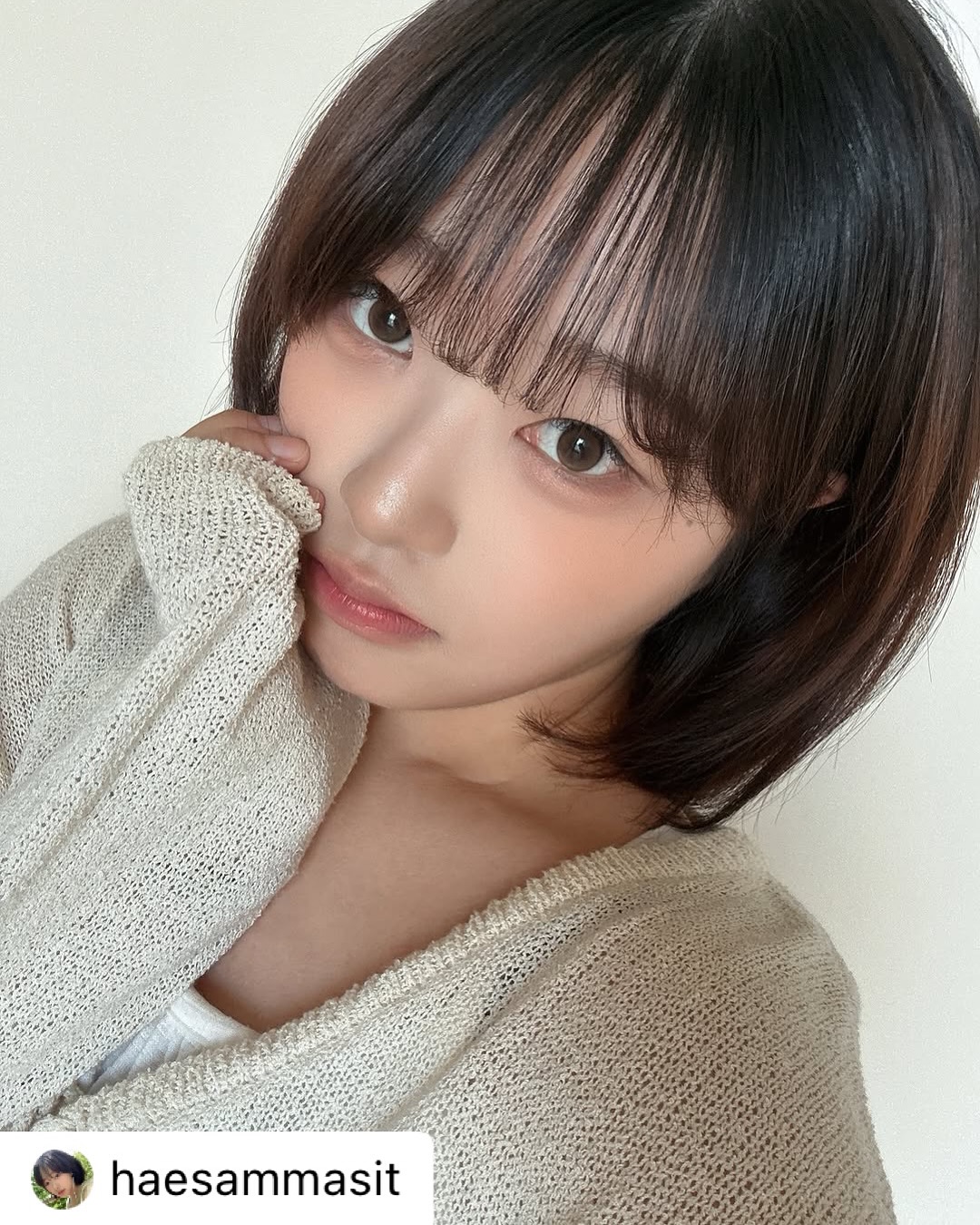 Lili butter brown monthly colored contacts