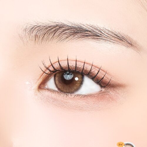 Lili butter brown monthly colored contacts