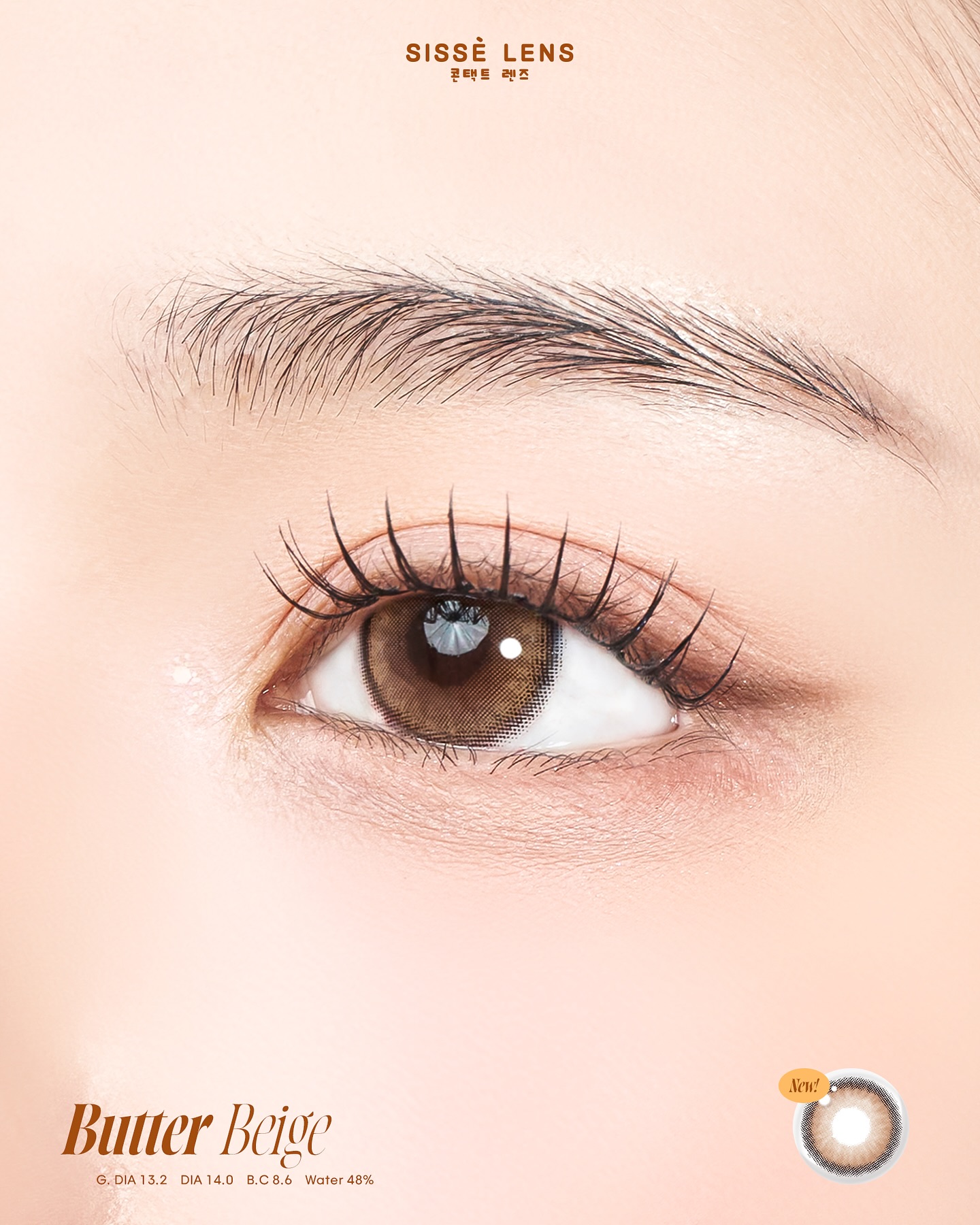 Lili butter brown monthly colored contacts