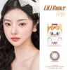 Lili butter brown monthly colored contacts