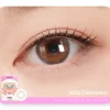 Gigi cinnamon monthly colored contacts