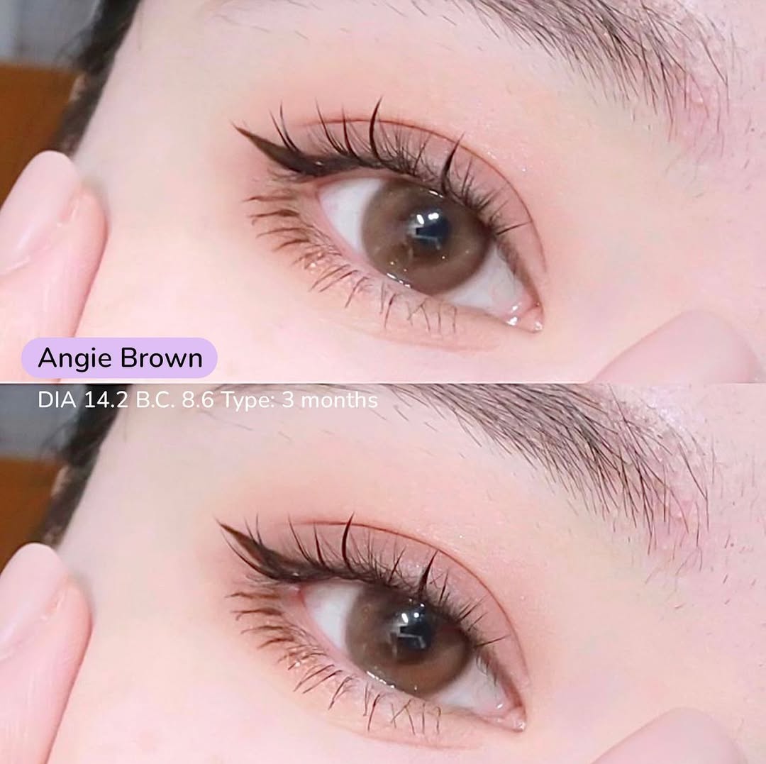 Manylens Angie Brown Monthly Colored Contacts