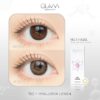No.1 Hazel monthly colored contacts