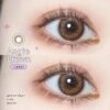 Manylens Angie Brown Monthly Colored Contacts