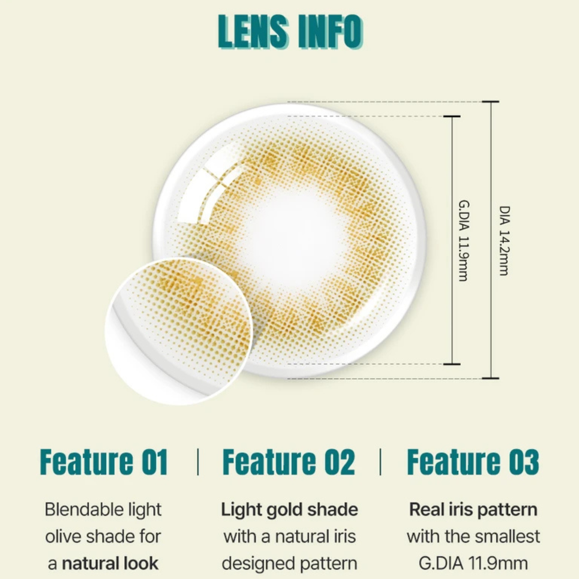 Enhance dark eyes with OLENS Scandi Olive monthly colored contacts. Natural olive tone, soft blend, no harsh ring. Korean FDA-approved. Powers 0.00 to -8.00.