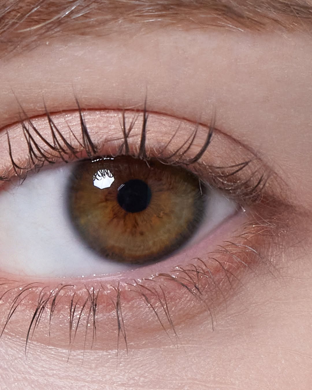 Hapa Kristin Bittersweet Olive Monthly Colored Contacts