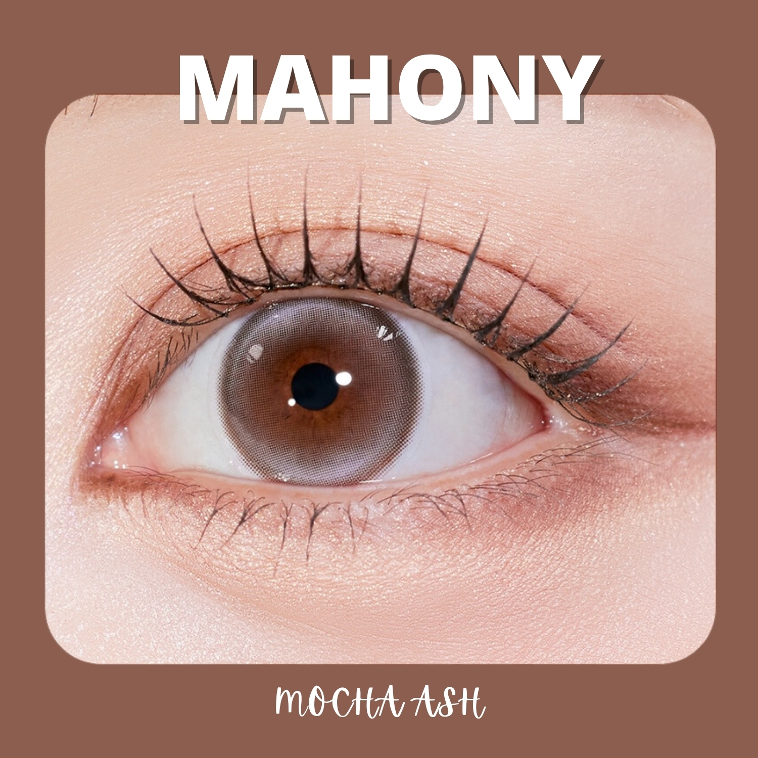 MYFiPN Mahony Mocha Ash monthly colored contacts feature a soft mocha ash tone that enhances dark eyes naturally. Available in plano & prescription (0.00 to -8.00).