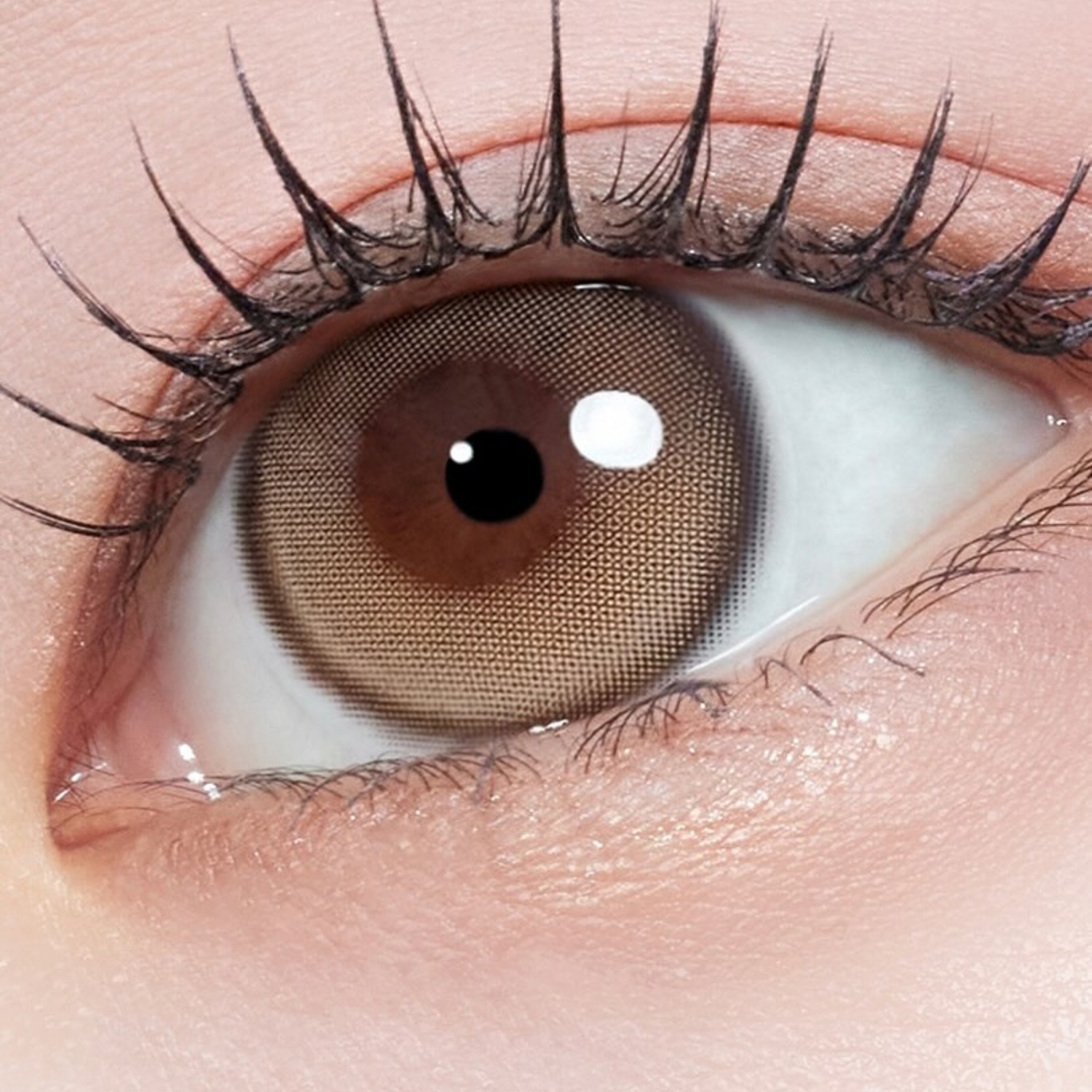 MYFiPN Biv Oatmeal colored contacts for dark eyes provide a warm oatmeal tone with smooth blending and natural coverage. The design enhances your eyes softly while maintaining a clean and comfortable finish.