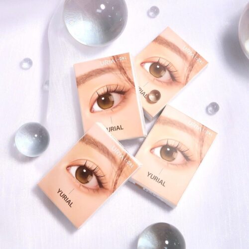 12-Month Contacts