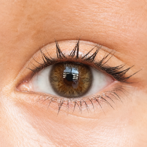 Glitzlens Butterfly Brown colored contacts — rich golden-brown with amber undertones, Ultraslim Hydrogel, 42% water content. Power 0.00 to -8.00 available