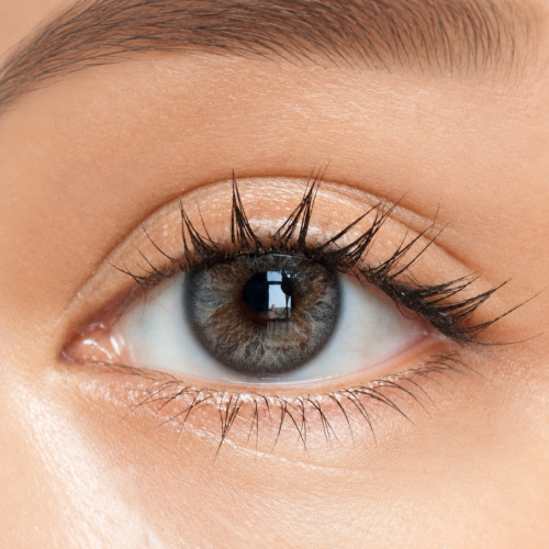 Shop Glitzlens Butterfly Gray colored contacts — soft gray with warm undertones, Ultraslim Hydrogel, 42% water content. Power 0.00 to -8.00 available