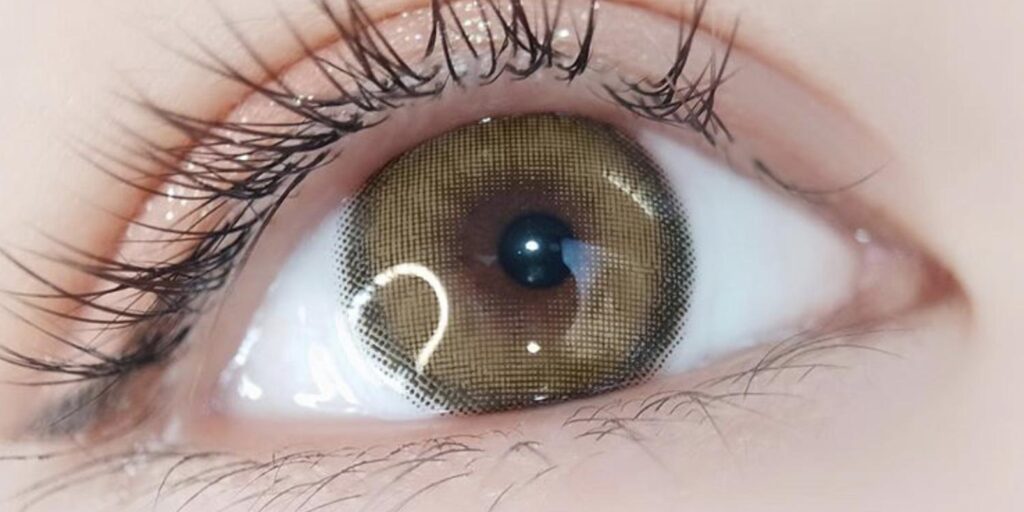 Canna Roze Olive Green yearly colored contacts on dark eyes showing warm olive-green coverage with defined limbal ring