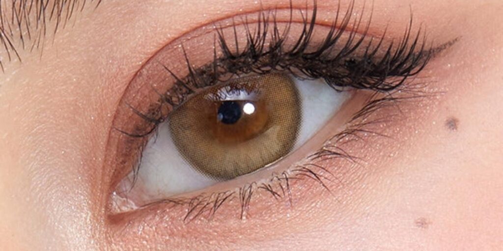 OLENS French Shine Hazel colored contacts on dark eyes showing warm amber-hazel with refined shine finish for sophisticated look