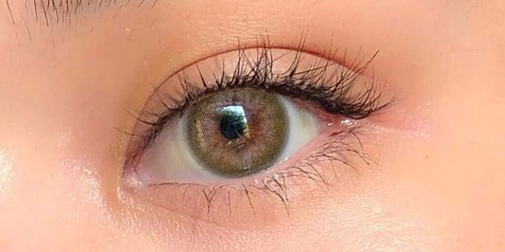 Sisse Spring Green monthly colored contacts for dark eyes give fresh green color with full coverage and smooth blend. Comfortable daily wear. Powers 0.00 to -10.00.