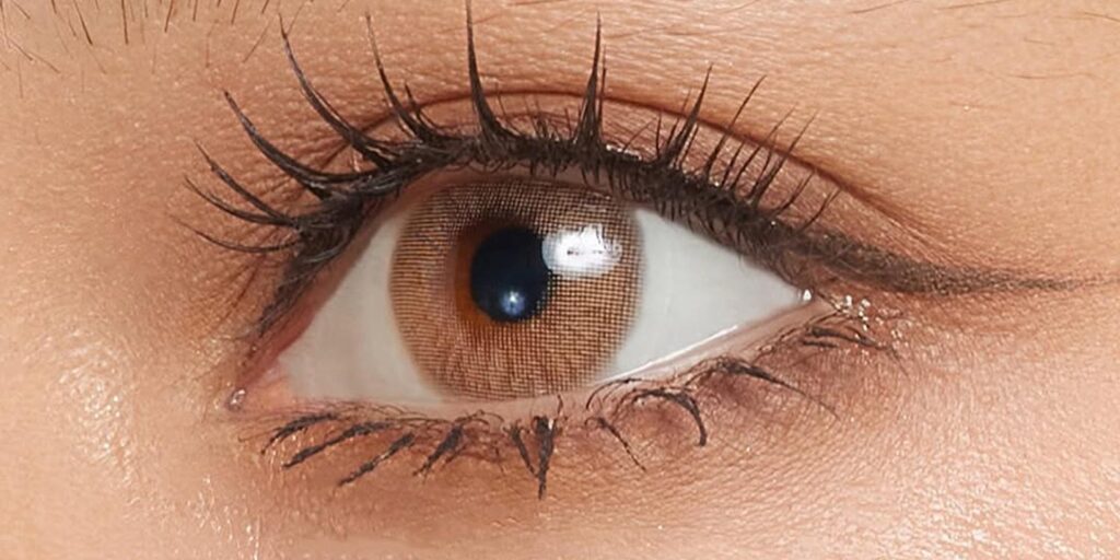 Glamlens Russia Brown blue light contacts for dark eyes provide a natural brown tone with soft blending and consistent coverage. The design enhances warmth while maintaining a subtle, polished look. The lens feels light and comfortable, making it ideal for everyday use.