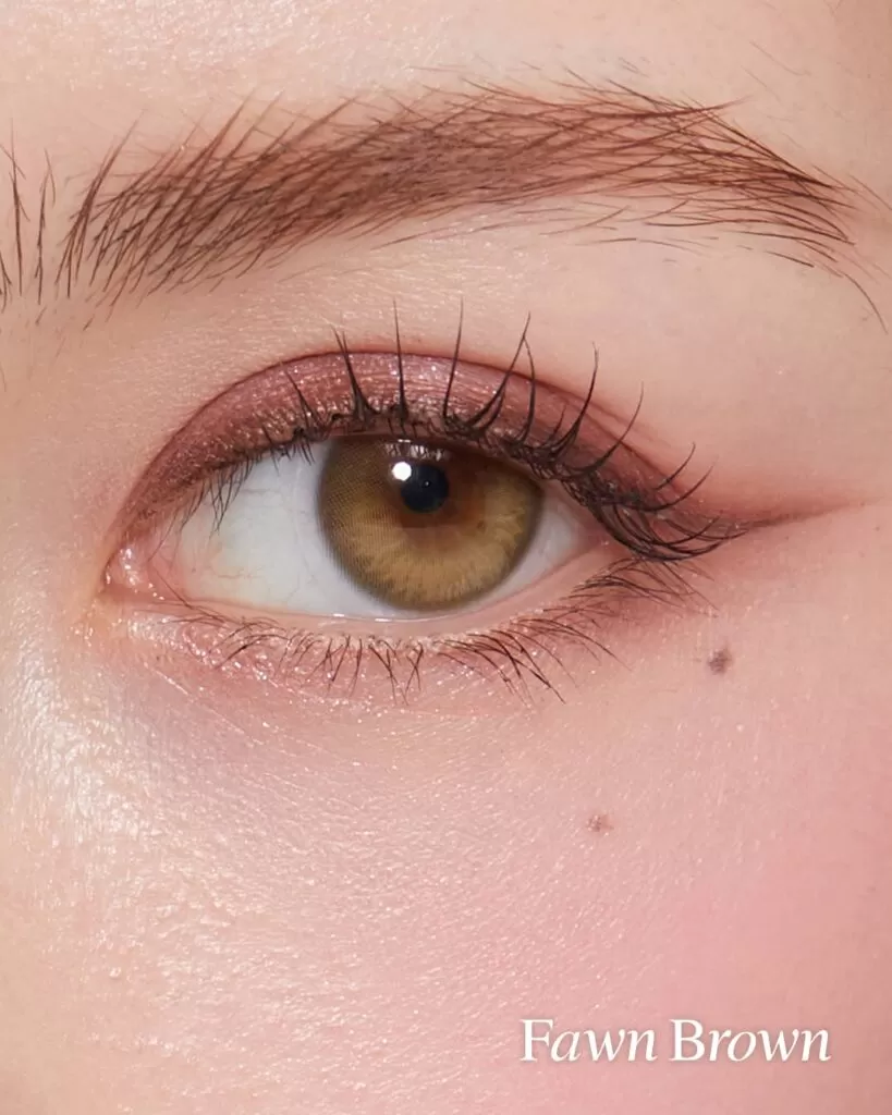 OLENS Moonrise Fawn Brown colored contacts for dark eyes deliver a gentle brown tone with smooth coverage and balanced blending. The color enhances warmth while maintaining a natural appearance. The lens feels lightweight and comfortable throughout the day.